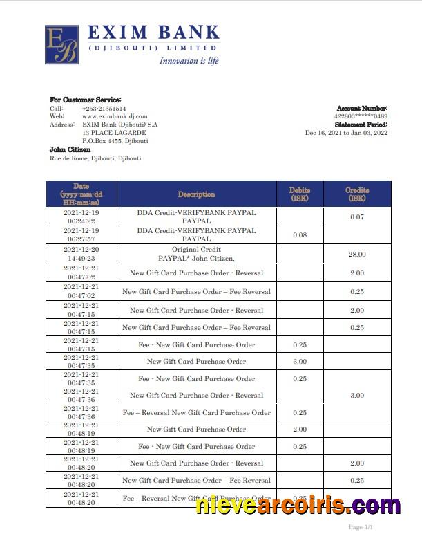 Djibouti Exim bank statement in Word and PDF format